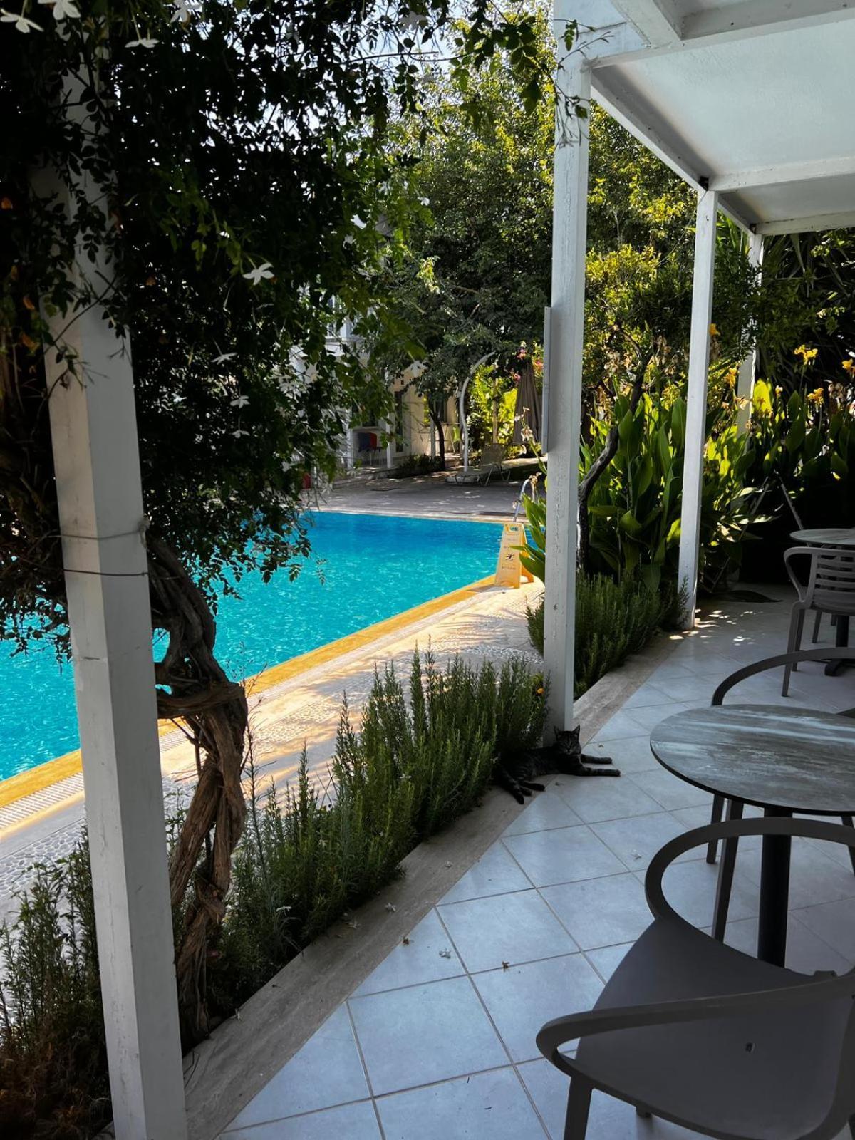 Hotel Gümüşlük Cameră foto